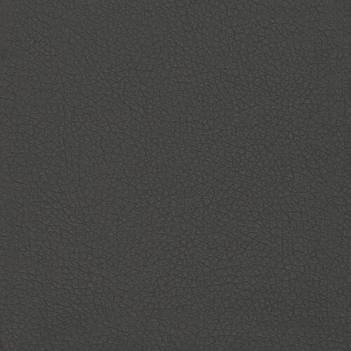 Pelle Ecologica Premium - Antracite